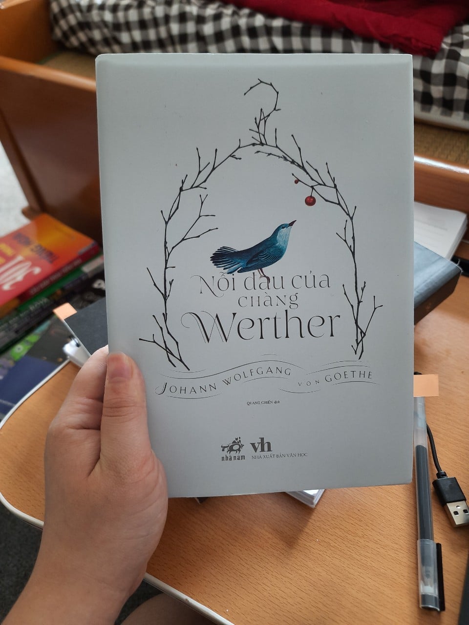 Review: Nỗi Đau Của Chàng Werther - Bi kịch của sự áp bức xã hội và quy chế cổ hủ